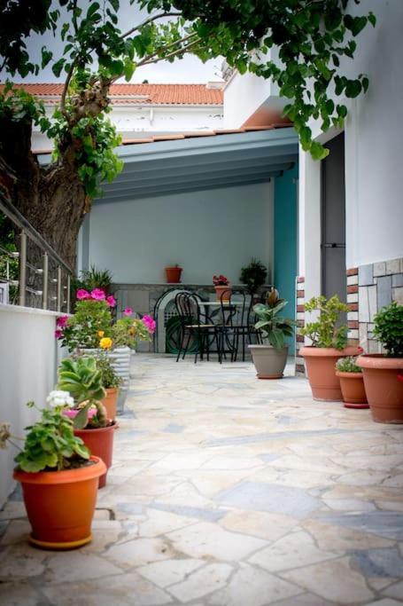 Spacious Apartment In The Heart Of Pythagorion Exterior photo